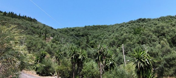 16000m² Hotel in Corfu, Greece No. 6231 6