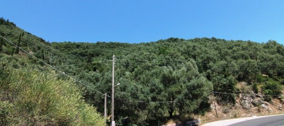 16000m² Hotel in Corfu, Greece No. 6231 4