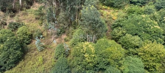 3 غرف نوم شقة في Asturias, Spain رقم 172420 30