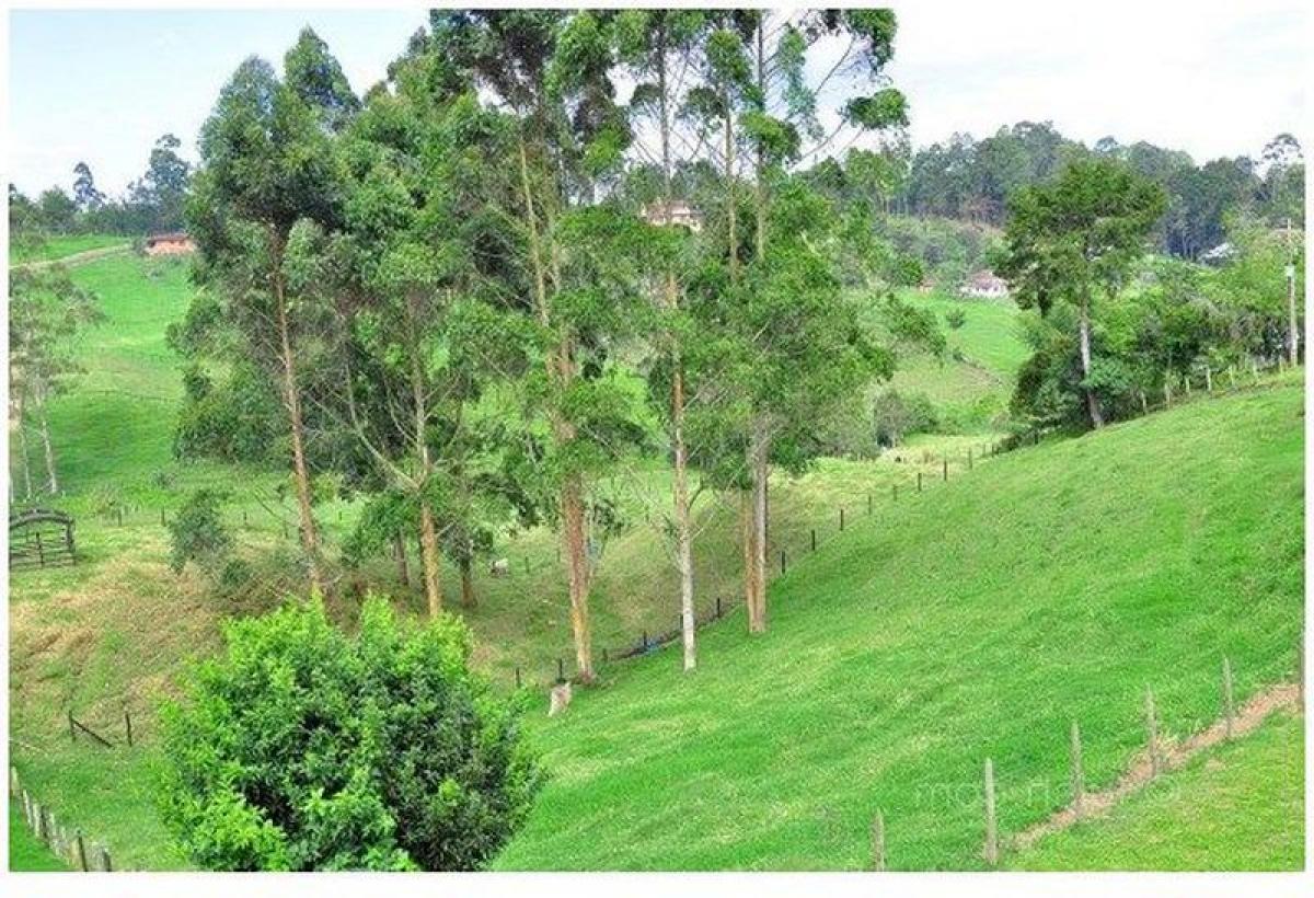 Terreno en Antioquia, Colombia No. 217