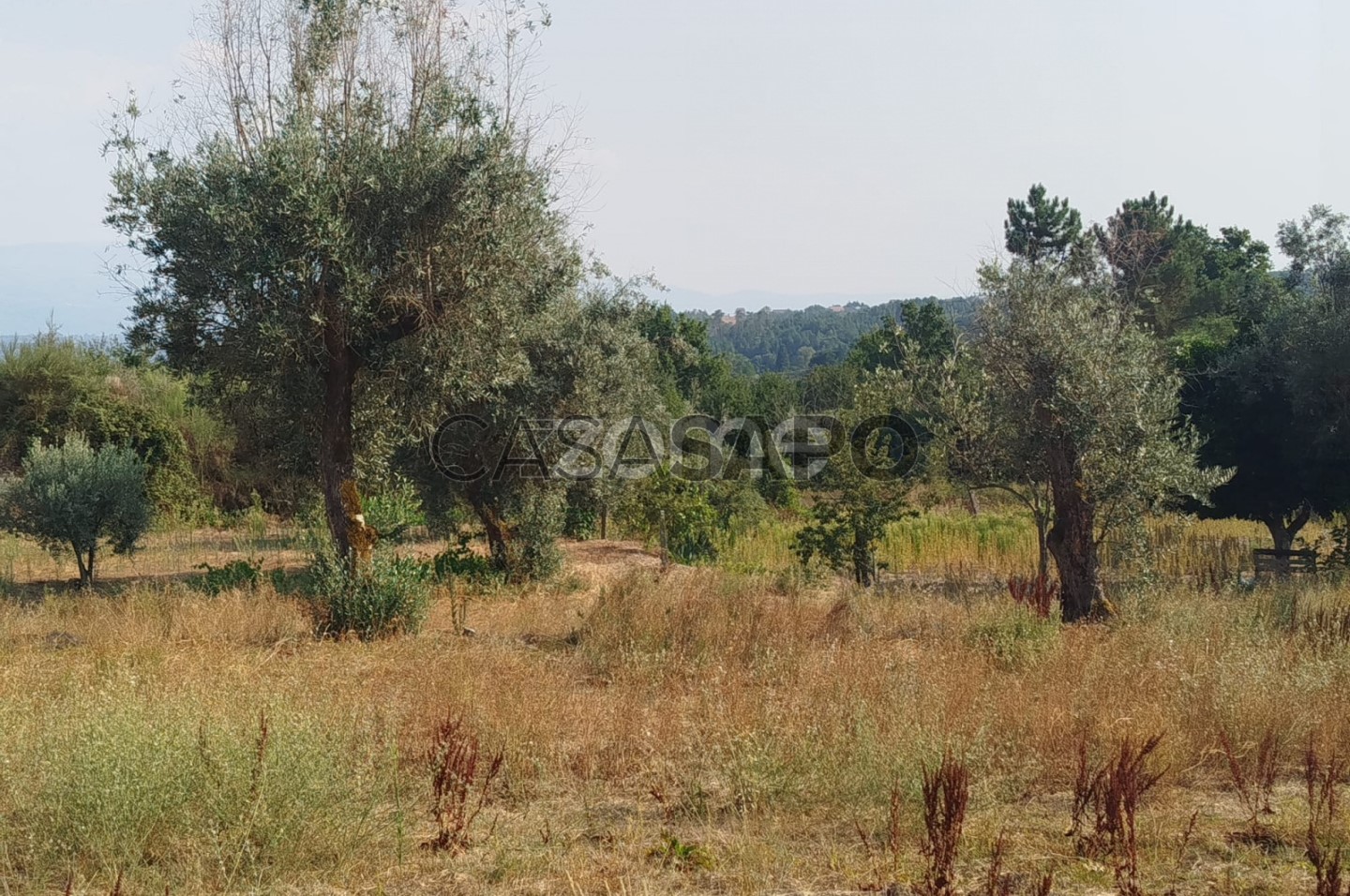  Land in Mangualde, Portugal No. 299840