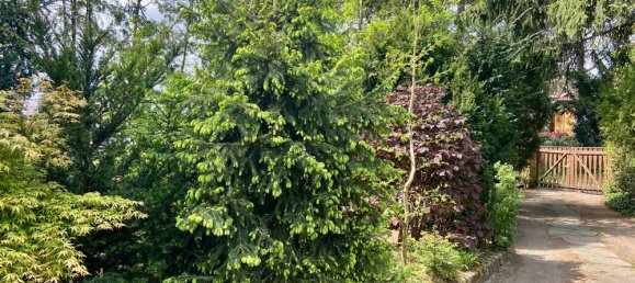 Дом с 3 спальнями в Каульсдорф, Германия № 27710 33