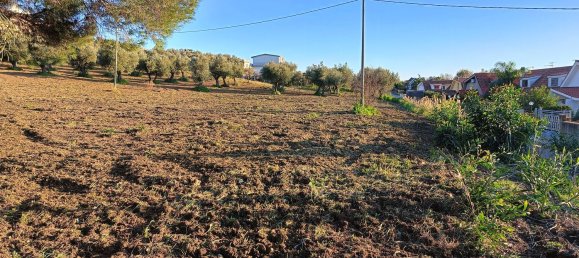 Grundstück in Gizzeria, Italy 2360m², Nr. 253977 3