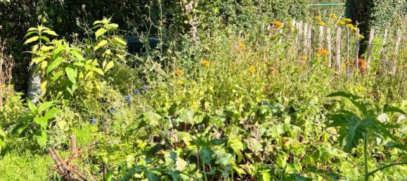 Terreno em Vorpommern-Rugen, Germany N.º 247121 5