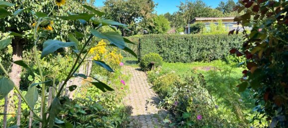 Terreno em Vorpommern-Rugen, Germany N.º 247121 3