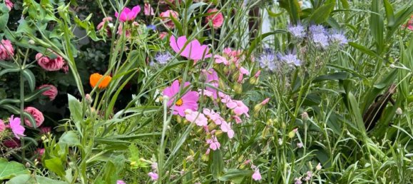 Terreno em Vorpommern-Rugen, Germany N.º 247121 19