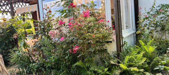 Terreno em Vorpommern-Rugen, Germany N.º 247121 7