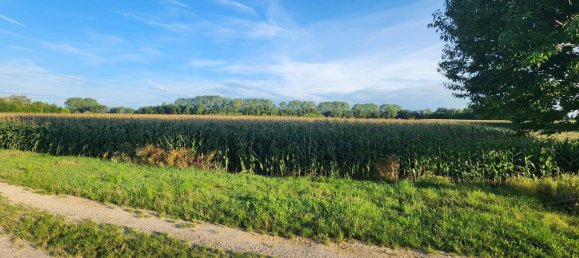  Land in Judenau-Baumgarten, Austria No. 214694 2