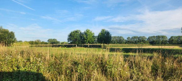  Land in Judenau-Baumgarten, Austria No. 214694 6