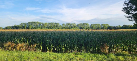  Land in Judenau-Baumgarten, Austria No. 214694 3