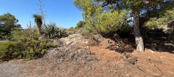 8 bedrooms House in Alicante, Spain No. 168385 45