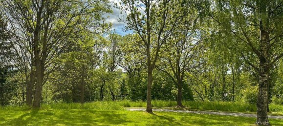 Estudio en Gorlitz, Germany No. 312075 7