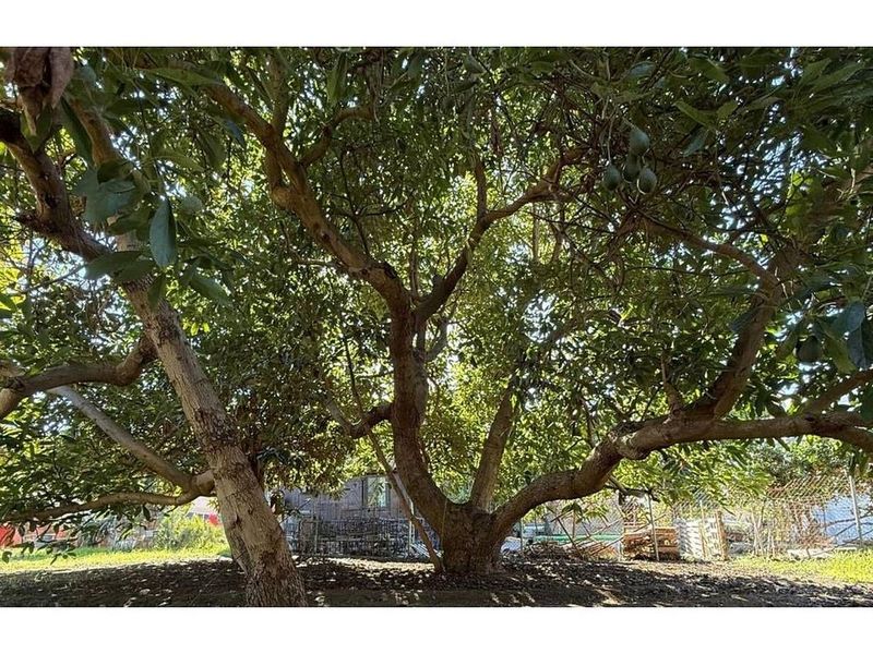 3 غرف نوم فيلا في Marbella, Spain رقم 231697