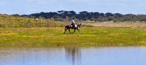 3 bedrooms House in Ourique, Portugal No. 149731 2