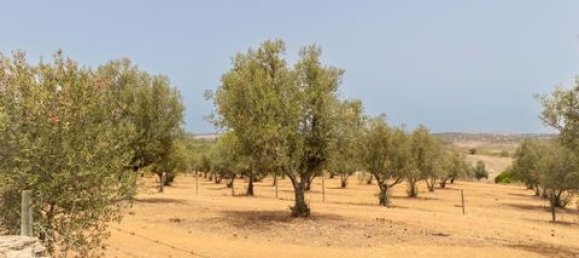 3 bedrooms House in Ourique, Portugal No. 149731 26