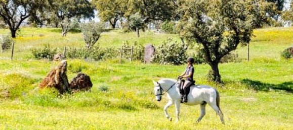 3 bedrooms House in Ourique, Portugal No. 149731 27