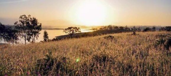 3 bedrooms House in Ourique, Portugal No. 149731 28