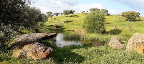 3 bedrooms House in Ourique, Portugal No. 149731 19