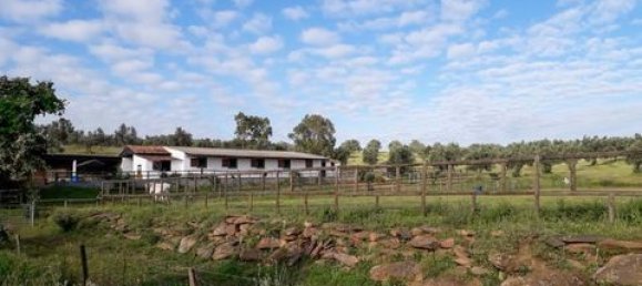 3 bedrooms House in Ourique, Portugal No. 149731 3