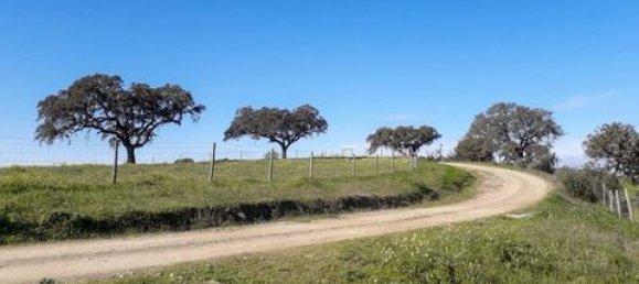 3 bedrooms House in Ourique, Portugal No. 149731 24