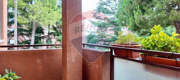 Квартира с 3 спальнями в Анкона, Италия № 270512 44