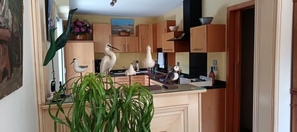 3 غرف نوم فيلا في Saint-Gildas-de-Rhuys, France رقم 308724 2