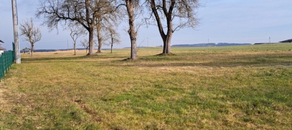 Terreno em Schorfling am Attersee, Austria N.º 126849 3