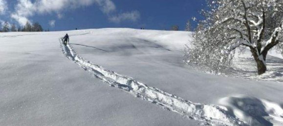 7 rooms House in Leutasch, Austria No. 189401 19