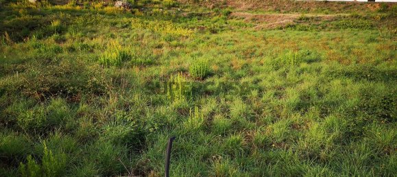 Terrain à Covilha, Portugal 406m² No. 167239 5