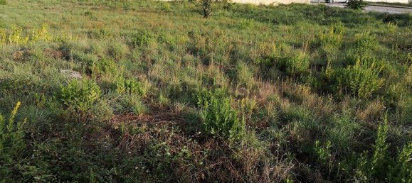 Terrain à Covilha, Portugal 406m² No. 167239 4