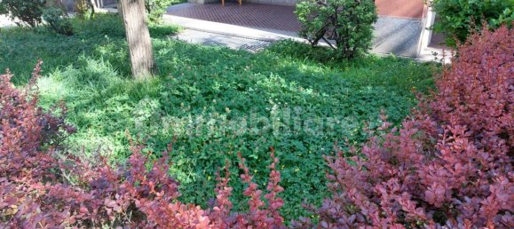 1 room Commercial property in Sondrio, Italy No. 295867 2