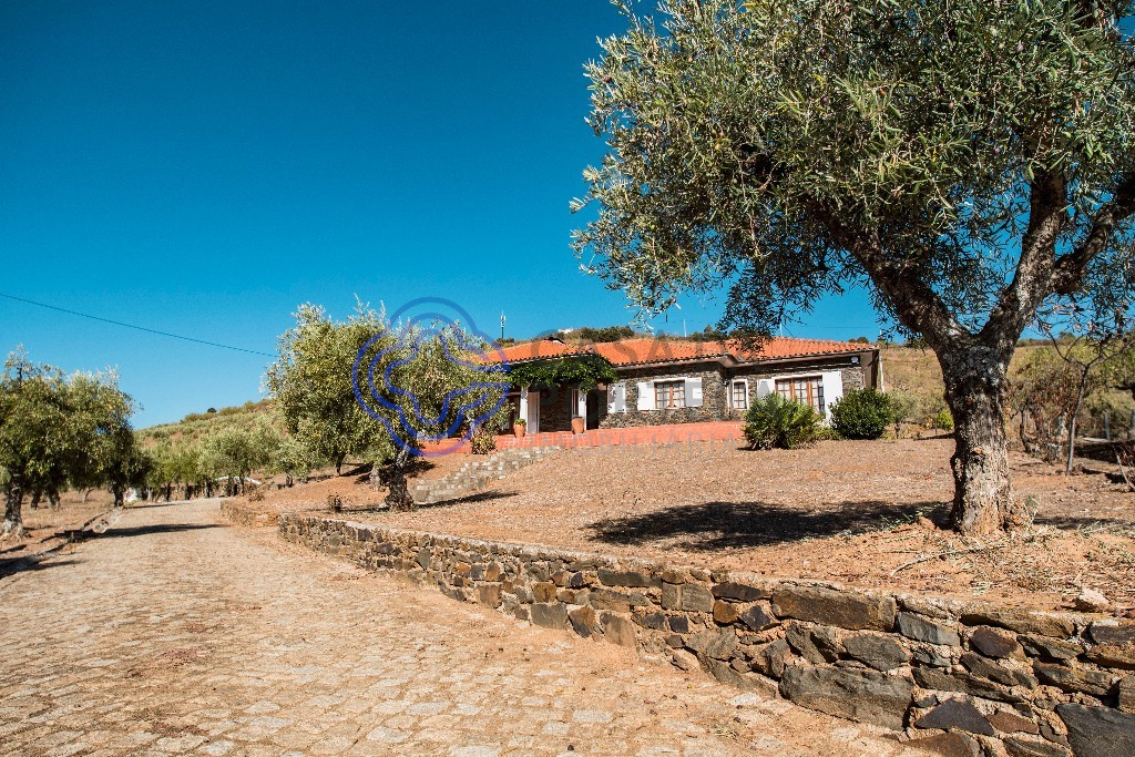 5 غرف نوم منزل في Meirinhos, Portugal رقم 90491