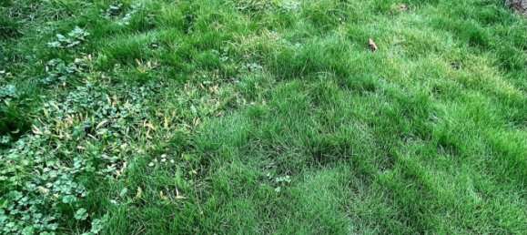 3 غرف نوم منزل في Petite-Rosselle, France رقم 227262 17