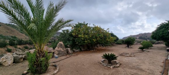 3 bedrooms House in Pegeia, Cyprus No. 9769 5