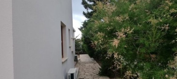 Propriedade comercial T3 em Pegeia, Cyprus N.º 9769 7