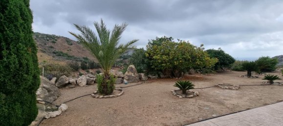 3 bedrooms House in Pegeia, Cyprus No. 9769 13