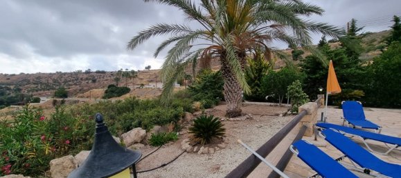 Propriedade comercial T3 em Pegeia, Cyprus N.º 9769 4