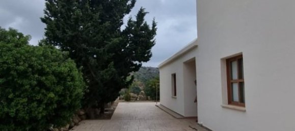 Propriedade comercial T3 em Pegeia, Cyprus N.º 9769 14