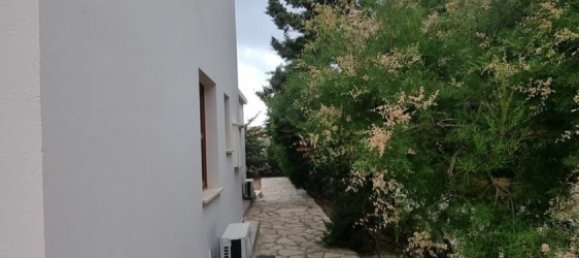 3 bedrooms House in Pegeia, Cyprus No. 9769 7