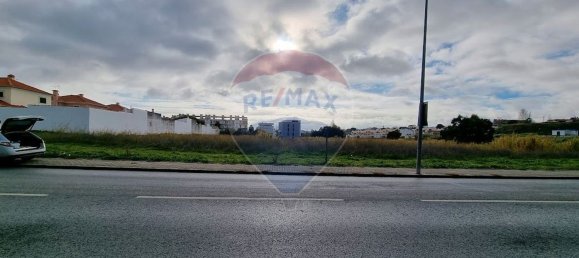 14000m² Land in Cartaxo, Portugal No. 90161 3