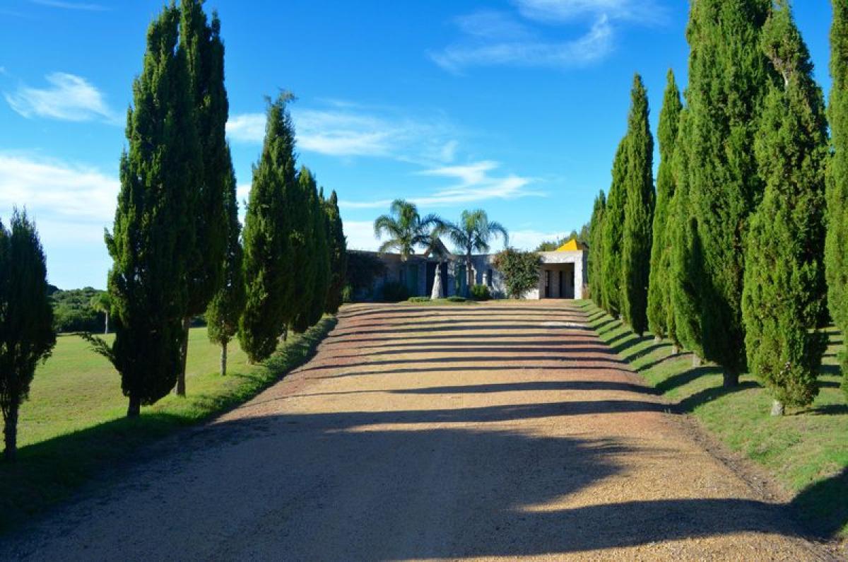  Farm in Maldonado, Uruguay No. 14864