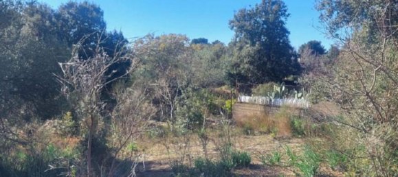 1180m² Land in Pedara, Italy No. 338549 2