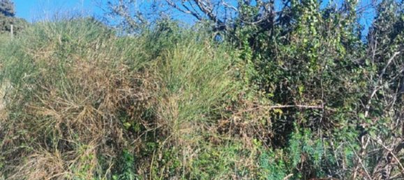 1180m² Land in Pedara, Italy No. 338549 3