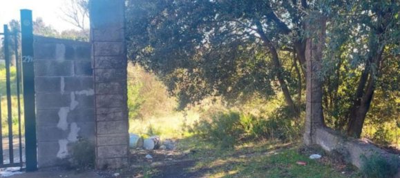 1180m² Land in Pedara, Italy No. 338549 6