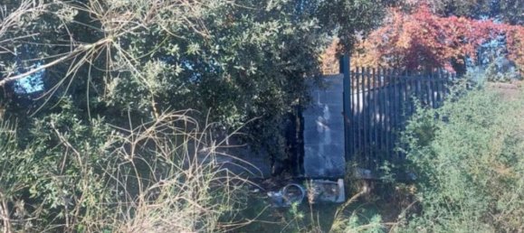 1180m² Land in Pedara, Italy No. 338549 5