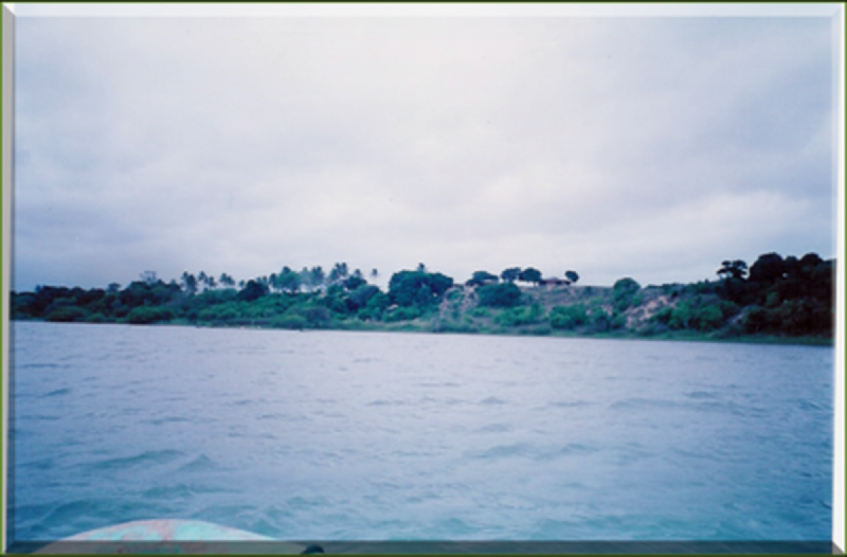 Terreno en Veracruz, Mexico No. 206232