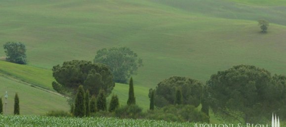 14 bedrooms Land in Murlo, Italy No. 211939 28