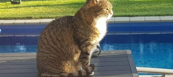 7-Zimmer Villa in Köpenick, Germany, Nr. 372030 19