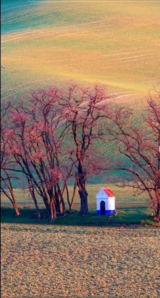 4 bedrooms Apartment in Giugliano in Campania, Italy No. 324231