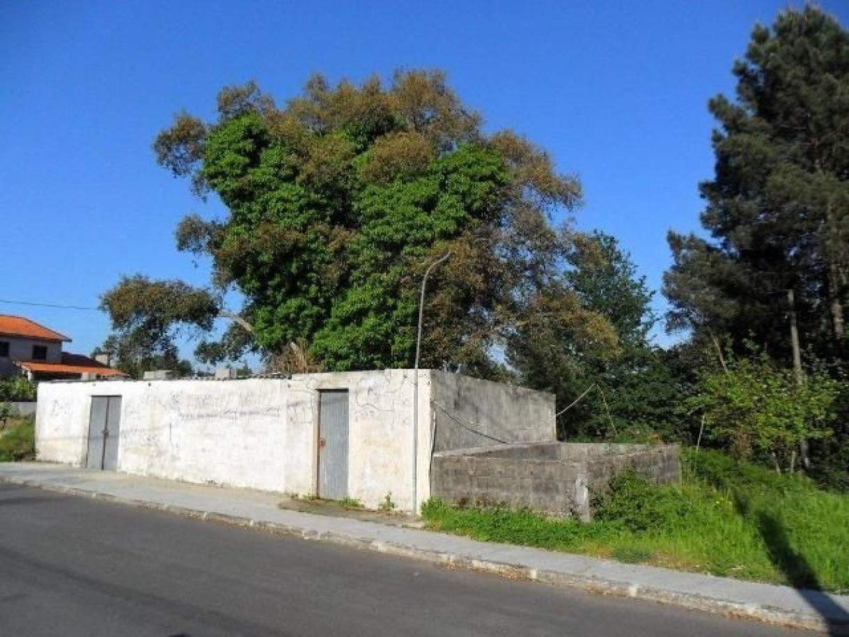  Land in Viana do Castelo, Portugal No. 48648